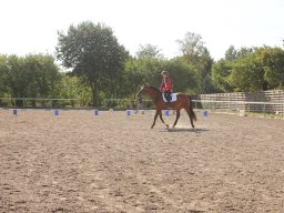 2013 Efterårsturnering